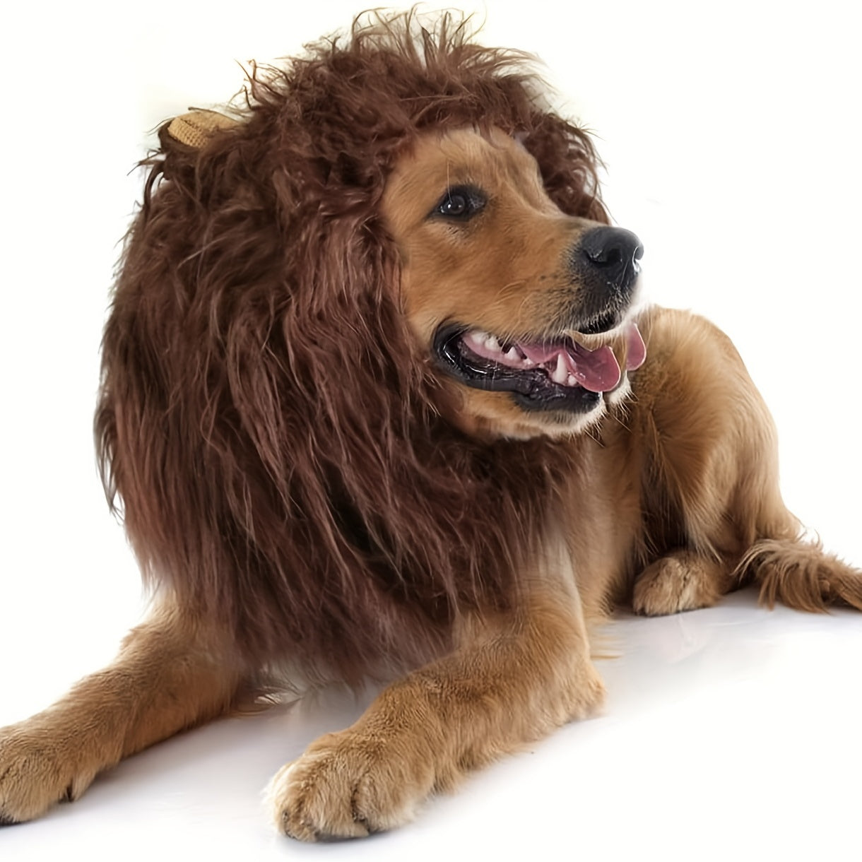 Halloween Royal Lion Mane Dog Costume