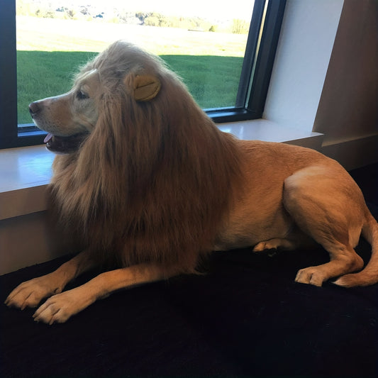 Halloween Royal Lion Mane Dog Costume