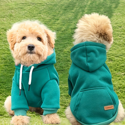 Adorable Small Dog Hoodie